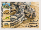 Preview: Dschibuti  2026  4 Werte auf  1 Maximumkarte  Reptilien
