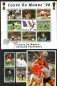 Preview: Togo  1998  29 W. + 3 Bl.  **  3 KLB  WM  Frankreich