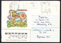 Sowjetunion  1993  1 Brief  gelaufen  Zudruck Pilze