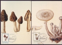 Luxemburg  1991  2 Maximumkarten Pilze  (03)