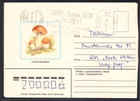 Sowjetunion  1982  1 Brief gelaufen  Zudruck: Rotkappe  (04)