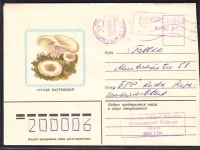 Sowjetunion  1982  1 Brief gelaufen  Zudruck: Reizker  (07)