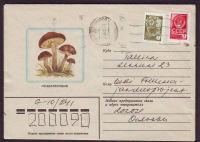 Sowjetunion  1982  1 Brief gelaufen  Zudruck: Birkenpilze  (08)