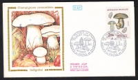 Frankreich  1987  1 FDC mit 1 Wert Pilze  (08)