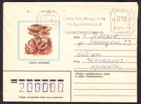 Sowjetunion  1982  1 Brief gelaufen  Zudruck: Hallimasch  (09)