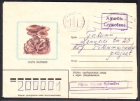 Sowjetunion  1982  1 Brief gelaufen  Zudruck: Hallimasch  (11)