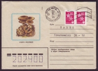 Sowjetunion  1982  1 Brief gelaufen  Zudruck: Hallimasch  (12)