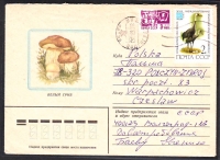 Sowjetunion  1982  1 Brief gelaufen  Zudruck: Steinpilz  (14)