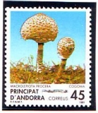 Andorra (spanisch)  1991  1 Wert  **  Schirmling