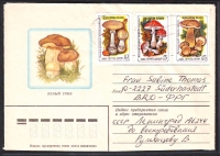 Sowjetunion  1982  1 Brief gelaufen  Zudruck: Steinpilz  (15)