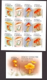 Preview: Antigua und Barbuda  1996  24 W. + 2 Bl.  **  2 KLB  B  Pilze