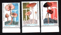 Äquatorialguinea  1992  3 Werte  **  Pilze