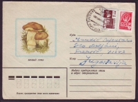 Sowjetunion  1982  1 Brief gelaufen  Zudruck: Steinpilz  (16)