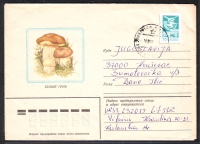 Sowjetunion  1982  1 Brief gelaufen  Zudruck: Steinpilz  (17)