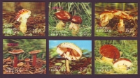 Bhutan  1973  6 Werte  **  3 D  Pilze