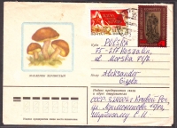 Sowjetunion  1982  1 Brief gelaufen  Zudruck: Maronenröhrlinge  (20)