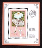 Ciskei  1987  1 Block  **  Pilze