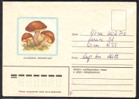 Sowjetunion  1982  1 Brief gelaufen  Zudruck: Maronenröhrlinge  (22)