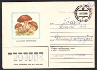 Sowjetunion  1982  1 Brief gelaufen  Zudruck: Maronenröhrlinge  (23)