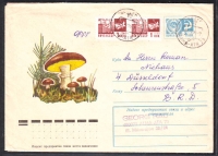 Sowjetunion  1974  1 Ganzsache gelaufen  Zudruck: Butterpilze  (24)