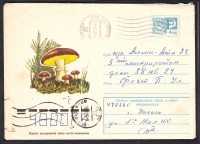 Sowjetunion  1975  1 Ganzsache gelaufen  Zudruck: Butterpilze  (25)