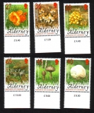 GB - Alderney  2004  6 Werte  **  Pilze