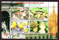 Guinea  1998  1 Block  **  A  Pilze