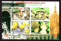 Guinea  1998  1 Block  **  B  Pilze