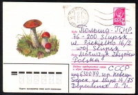 Sowjetunion  1979  1 Ganzsache gelaufen  Zudruck: Rotkappen  (34)