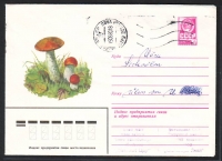 Sowjetunion  1979  1 Ganzsache gelaufen  Zudruck: Rotkappen  (35)