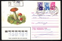 Sowjetunion  1979  1 Ganzsache gelaufen  Zudruck: Rotkappen  (36)