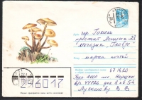 Sowjetunion  1983  1 Ganzsache gelaufen  Zudruck: Stockschwämmchen  (37)