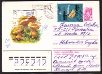 Sowjetunion  1979  1 Ganzsache gelaufen  Zudruck: Pfifferlinge  (39)