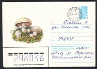 Sowjetunion  1980  1 Ganzsache gelaufen  Zudruck: Champignons  (40)