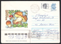 Sowjetunion  1991  1 Brief gelaufen  Zudruck: Steinpilze  (42)