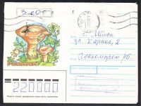 Sowjetunion  1991  1 Brief gelaufen  Zudruck: Reizker  (46)