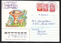 Sowjetunion  1991  1 Brief gelaufen  Zudruck: Reizker  (51)