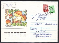 Sowjetunion  1991  1 Brief gelaufen  Zudruck: Steinpilze  (52)