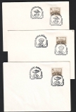 Rumänien  1992  6 Briefe mit je 2 Pilzstempel