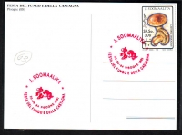 Somalia  1994  1 Maxikarte gestempelt  Pilzmarke  (63)