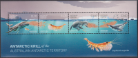 Australische Antarktis  2025  1 Block  **  Wal / Delphin / Robbe / Grill