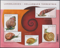 Belgien  2025  5 Werte  **  KLB  Schecken