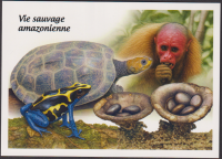 Preview: Dschibuti  2025  5 W. auf  1 Maximumkarte  Reptilien / Affe / Pilze