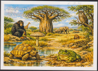 Preview: Dschibuti  2026  1 Wert auf  1 Maximumkarte  Fauna / Flora / Pilz