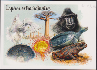 Preview: Dschibuti  2026  8 Werte auf  1 Maximumkarte  Fauna / Flora / Pilze