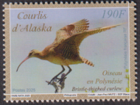 Französisch Polynesien  2025  1 Wert  **  Vogel