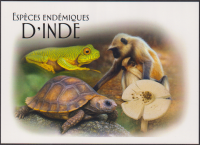 Preview: Guinea  2025  5 Werte auf  1 Maxikarte  Indische Fauna / Pilz