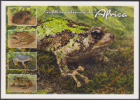 Preview: Guinea - Bissau  2026  4 Werte auf  1 Maximumkarte  Frösche