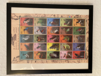 Preview: Bild mit Vögel aus Sri Lanke KLB **