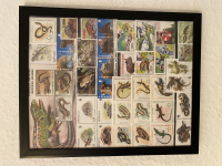 Preview: Bild mit Reptilienbriefmarken ** / komplette Ausgaben
